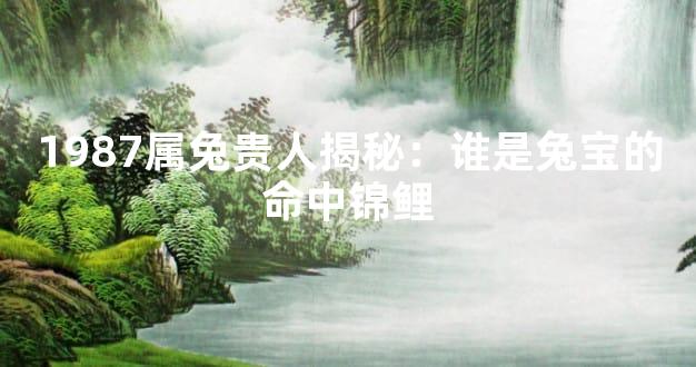 1987属兔贵人揭秘：谁是兔宝的命中锦鲤