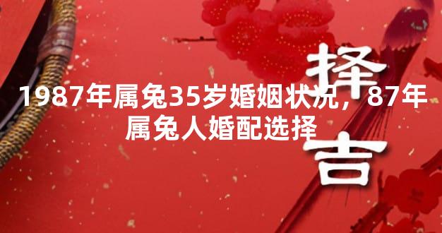 1987年属兔35岁婚姻状况，87年属兔人婚配选择