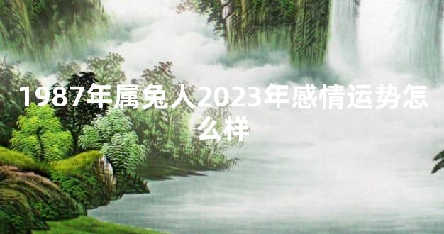 1987年属兔人2023年感情运势怎么样