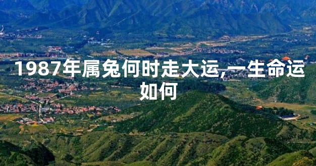 1987年属兔何时走大运,一生命运如何