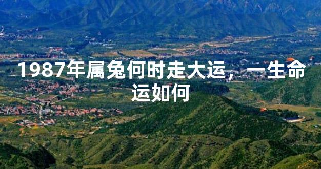 1987年属兔何时走大运，一生命运如何