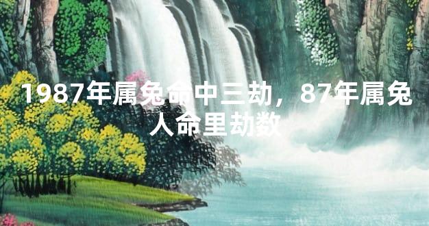 1987年属兔命中三劫，87年属兔人命里劫数