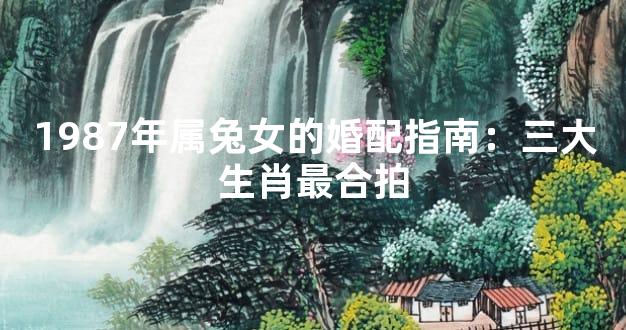 1987年属兔女的婚配指南：三大生肖最合拍