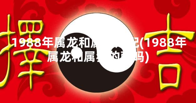 1988年属龙和属猪婚配(1988年属龙和属猪的配吗)