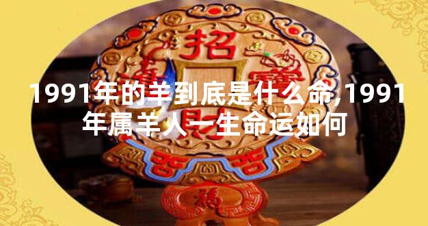 1991年的羊到底是什么命,1991年属羊人一生命运如何