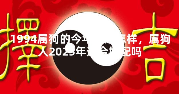 1994属狗的今年婚姻怎样，属狗人2025年适合婚配吗
