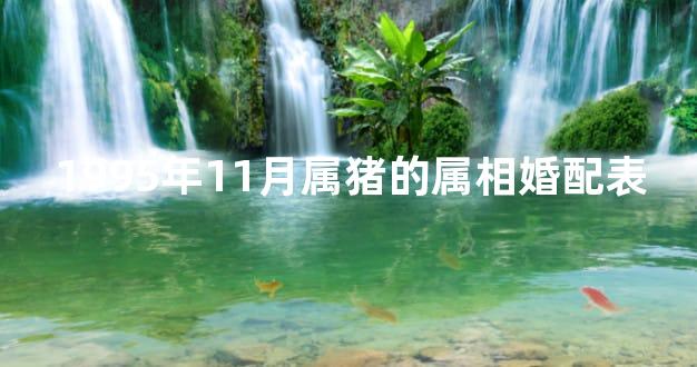1995年11月属猪的属相婚配表