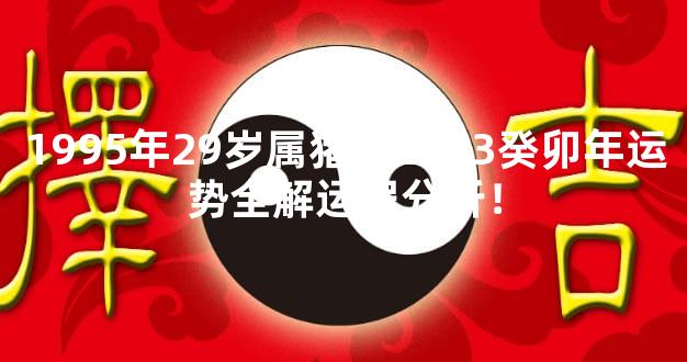 1995年29岁属猪人2023癸卯年运势全解运程分析！