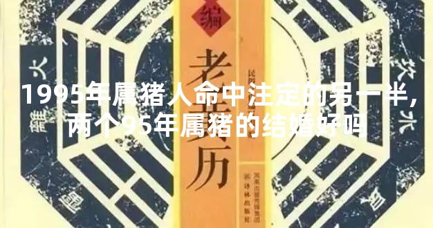 1995年属猪人命中注定的另一半,两个95年属猪的结婚好吗