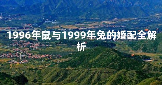 1996年鼠与1999年兔的婚配全解析