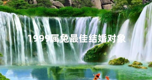 1999属兔最佳结婚对象