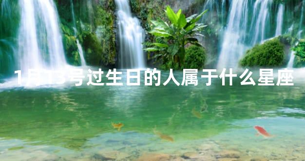 1月13号过生日的人属于什么星座