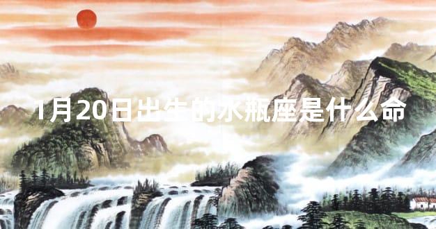 1月20日出生的水瓶座是什么命