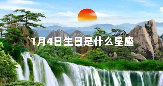 1月4日生日是什么星座