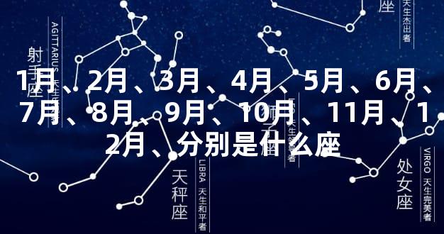 1月、2月、3月、4月、5月、6月、7月、8月、9月、10月、11月、12月、分别是什么座
