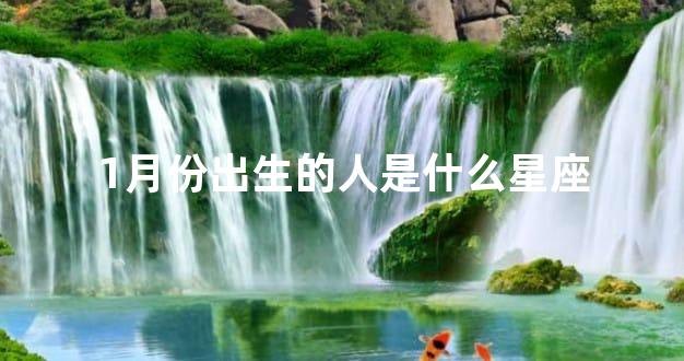 1月份出生的人是什么星座
