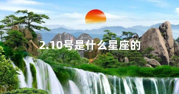 2.10号是什么星座的