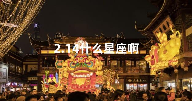 2.14什么星座啊