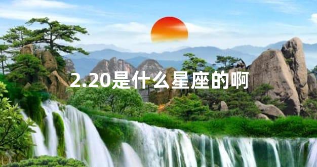2.20是什么星座的啊