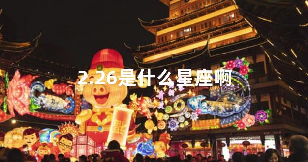 2.26是什么星座啊