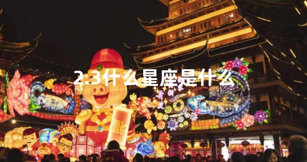 2.3什么星座是什么