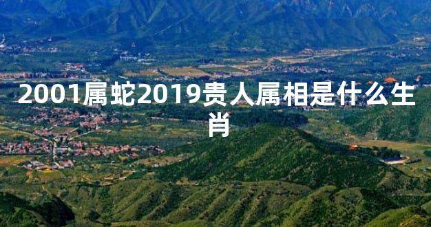 2001属蛇2019贵人属相是什么生肖