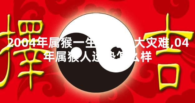 2004年属猴一生有几次大灾难,04年属猴人运势怎么样