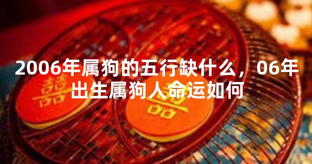2006年属狗的五行缺什么，06年出生属狗人命运如何