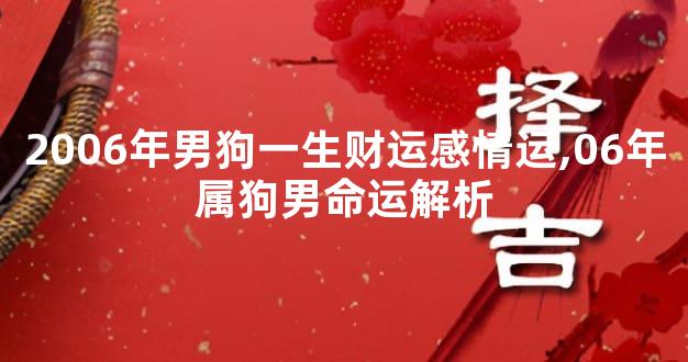 2006年男狗一生财运感情运,06年属狗男命运解析