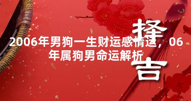 2006年男狗一生财运感情运，06年属狗男命运解析