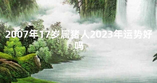2007年17岁属猪人2023年运势好吗