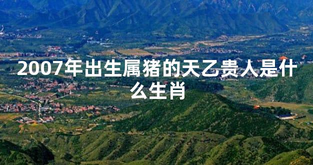 2007年出生属猪的天乙贵人是什么生肖