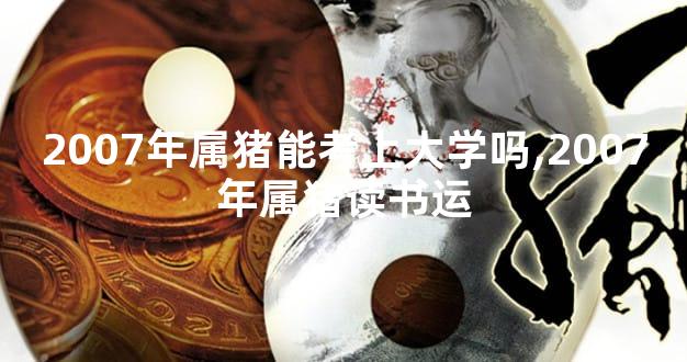 2007年属猪能考上大学吗,2007年属猪读书运