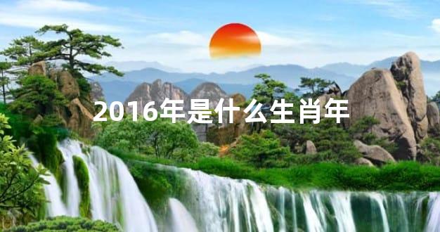 2016年是什么生肖年