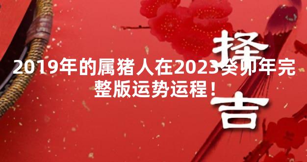 2019年的属猪人在2023癸卯年完整版运势运程！