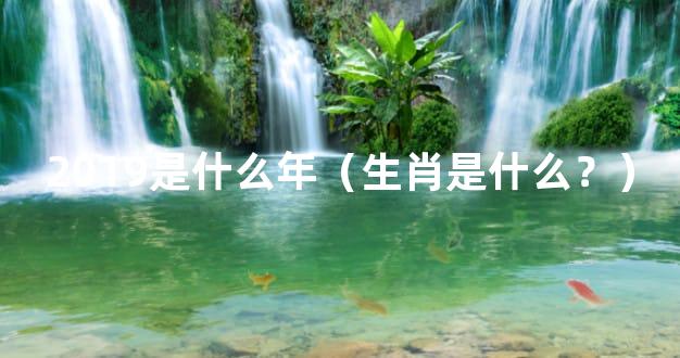 2019是什么年（生肖是什么？）