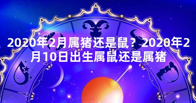 2020年2月属猪还是鼠？2020年2月10日出生属鼠还是属猪
