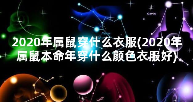 2020年属鼠穿什么衣服(2020年属鼠本命年穿什么颜色衣服好)