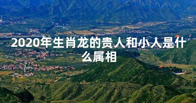 2020年生肖龙的贵人和小人是什么属相