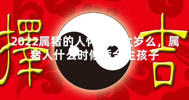 2022属猪的人怀孕犯太岁么，属猪人什么时候适合生孩子
