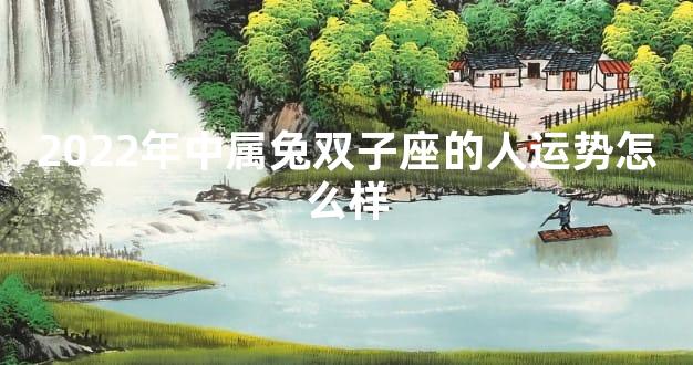 2022年中属兔双子座的人运势怎么样