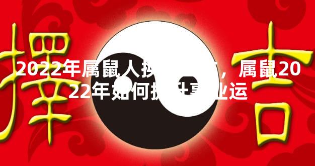 2022年属鼠人换新工作，属鼠2022年如何提升事业运