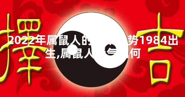 2022年属鼠人的全年运势1984出生,属鼠人运气如何