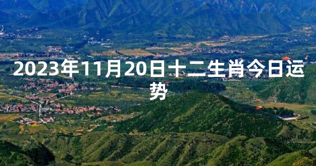 2023年11月20日十二生肖今日运势