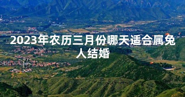 2023年农历三月份哪天适合属兔人结婚