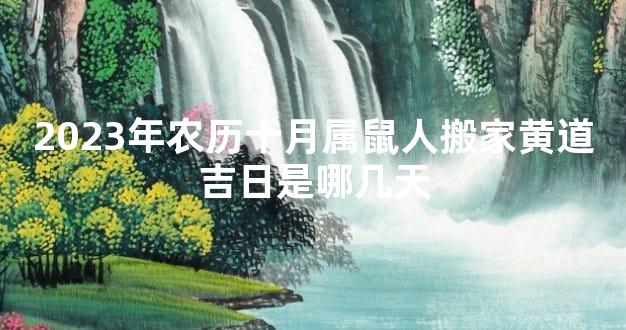 2023年农历十月属鼠人搬家黄道吉日是哪几天