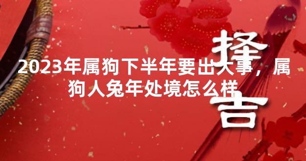 2023年属狗下半年要出大事，属狗人兔年处境怎么样