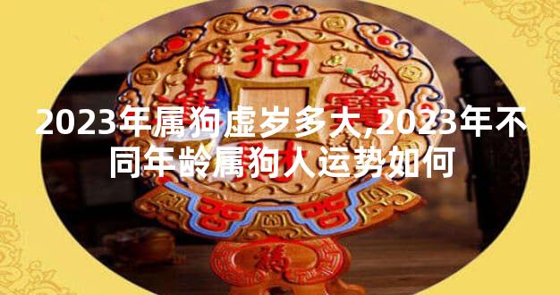 2023年属狗虚岁多大,2023年不同年龄属狗人运势如何