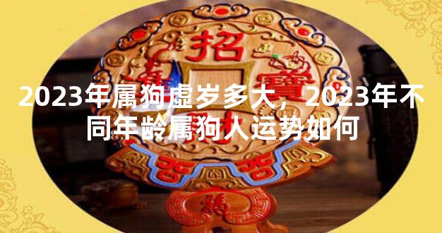 2023年属狗虚岁多大，2023年不同年龄属狗人运势如何