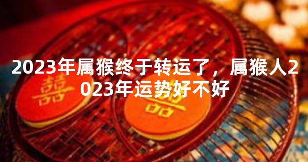 2023年属猴终于转运了，属猴人2023年运势好不好